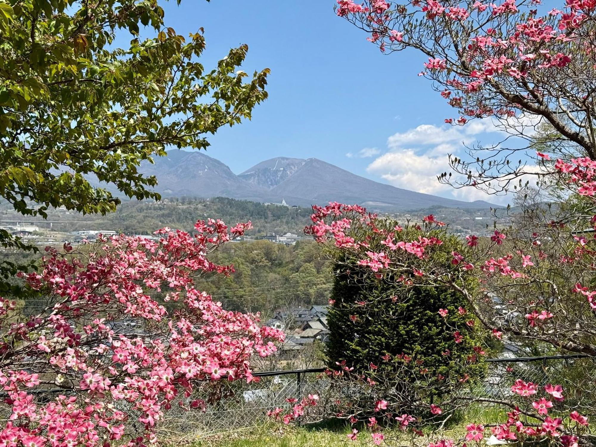 Nunohiki Onsen Komoro Екстер'єр фото